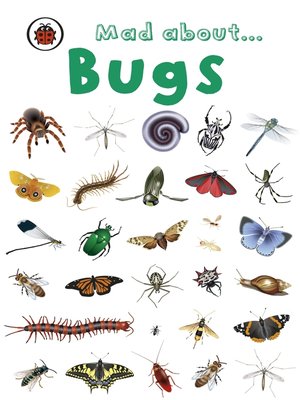 cover image of Mad About Bugs